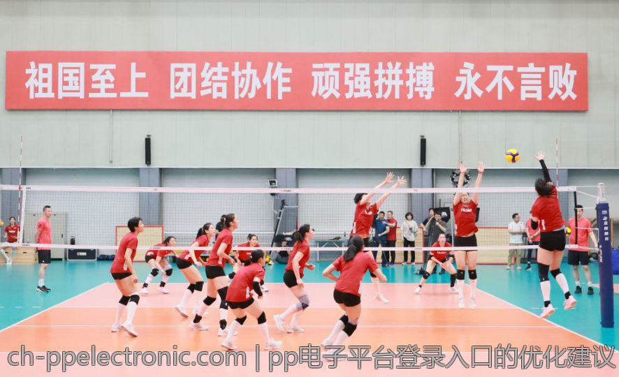 pp电子平台登录入口的优化建议